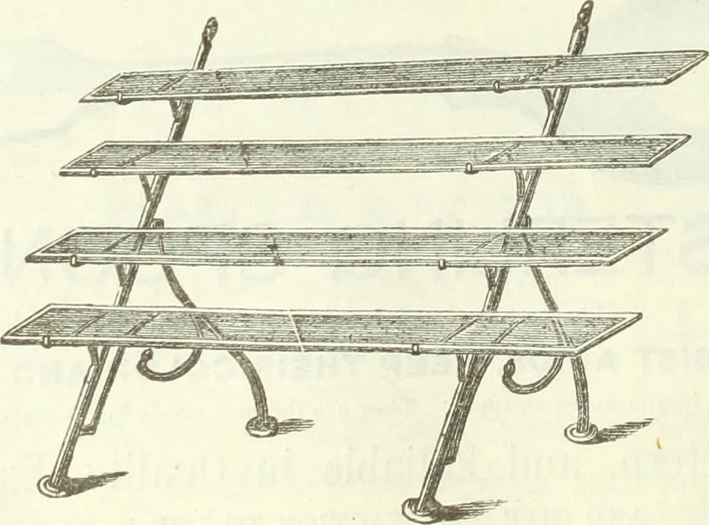 An illustration from Canadian jeweller 1882-1886, 1886, leaf 77