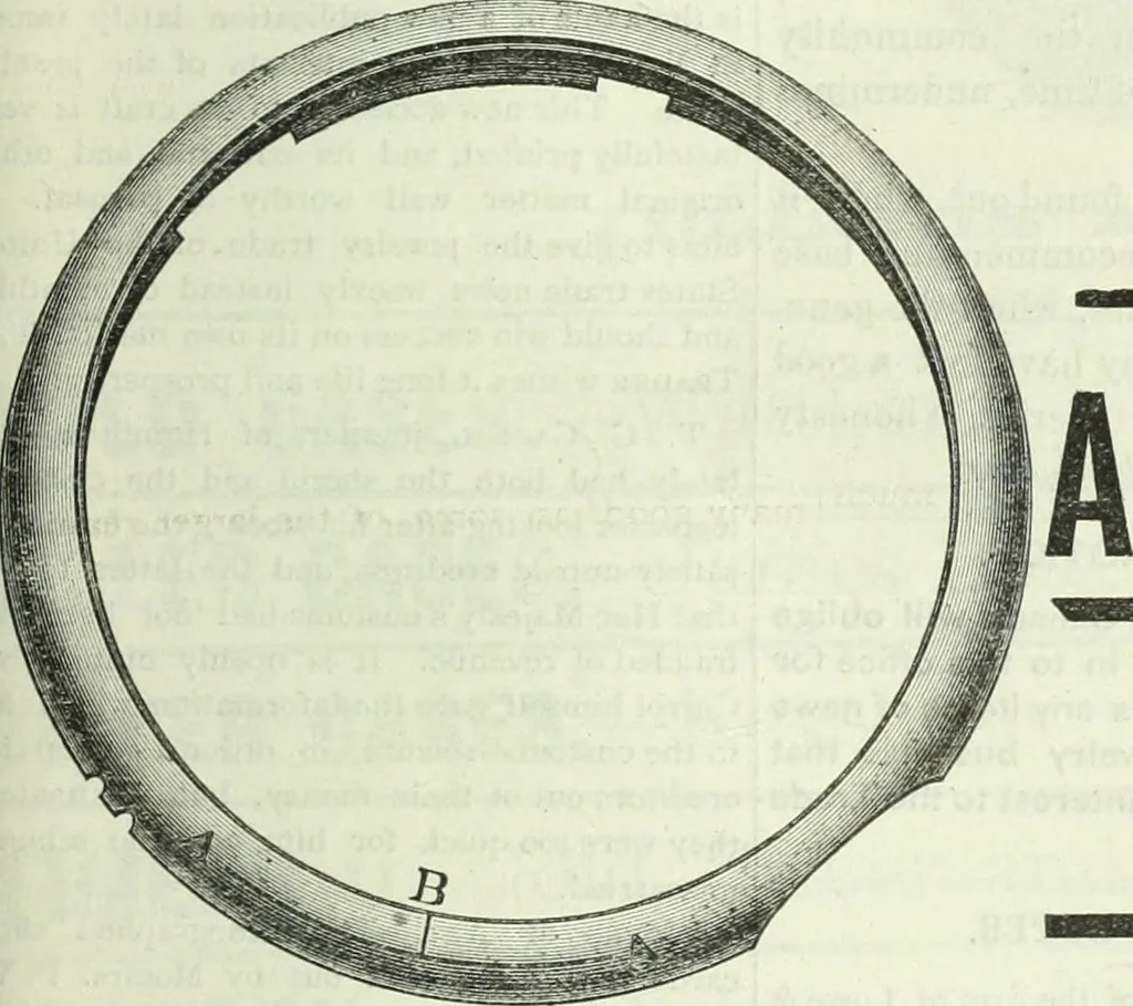 An illustration from Canadian jeweller 1882-1886, 1886, leaf 776
