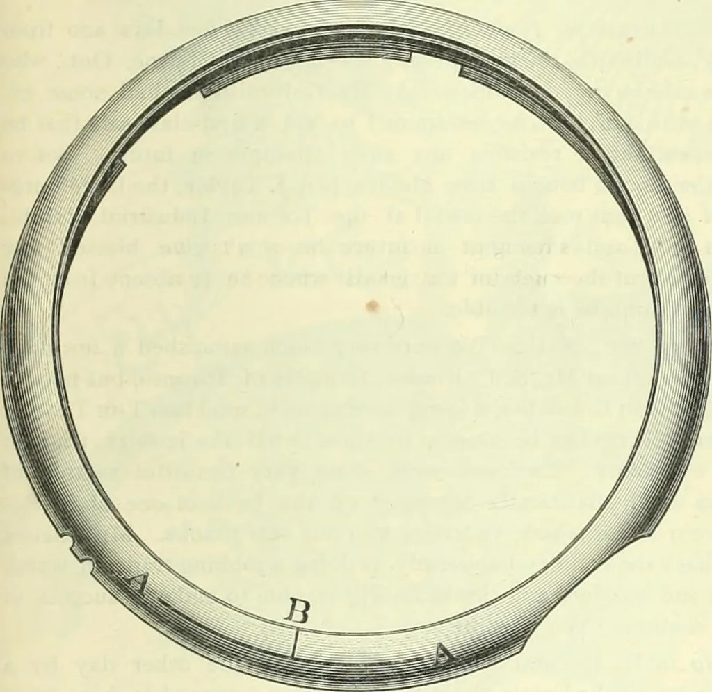An illustration from Canadian jeweller 1882-1886, 1886, leaf 798