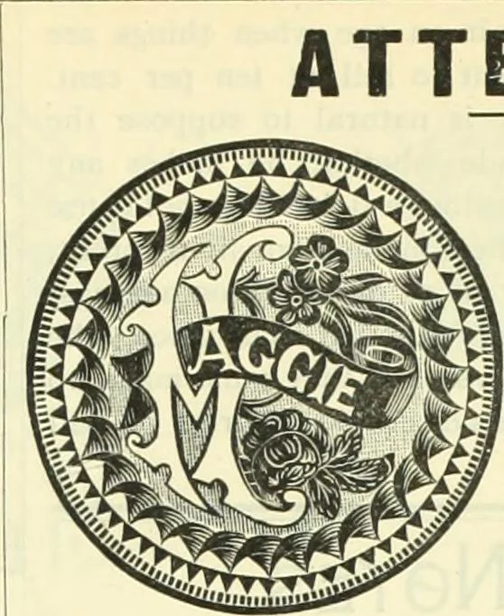 An illustration from Canadian jeweller 1882-1886, 1886, leaf 806