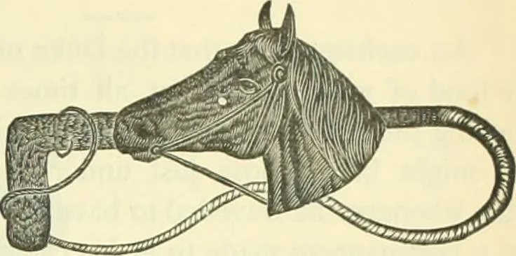 An illustration from Canadian jeweller 1882-1886, 1886, leaf 850