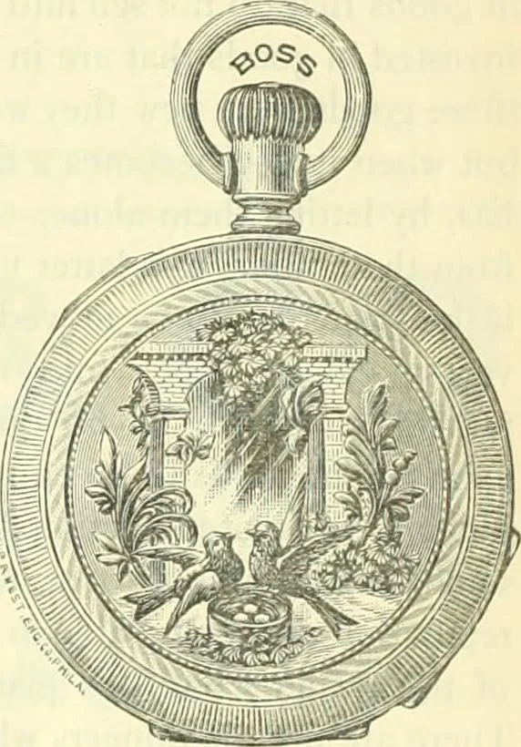 An illustration from Canadian jeweller 1882-1886, 1886, leaf 894