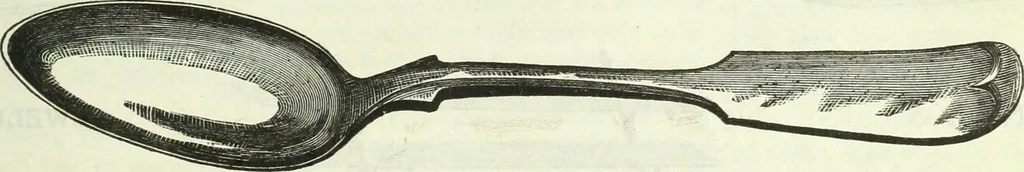 An illustration from Canadian jeweller 1882-1886, 1886, leaf 92