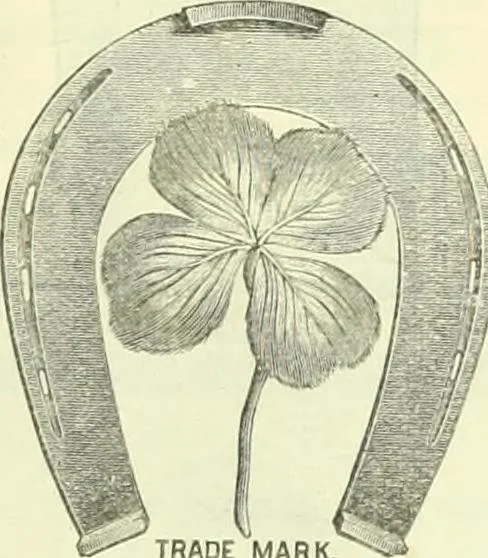 An illustration from Canadian jeweller 1882-1886, 1886, leaf 954