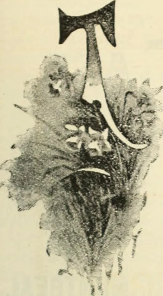 An illustration from Canadian jeweller 1890, 1890, leaf 112