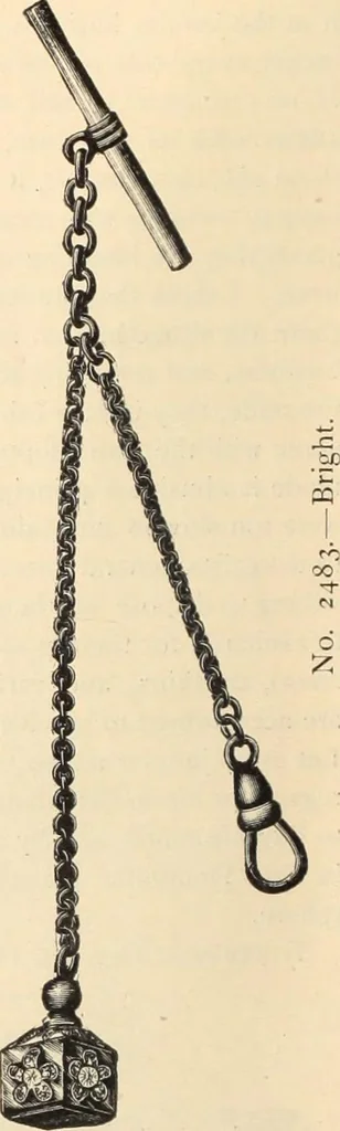 An illustration from Canadian jeweller 1890, 1890, leaf 15