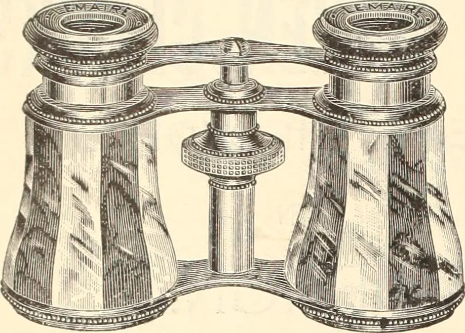 An illustration from Canadian jeweller 1890, 1890, leaf 193