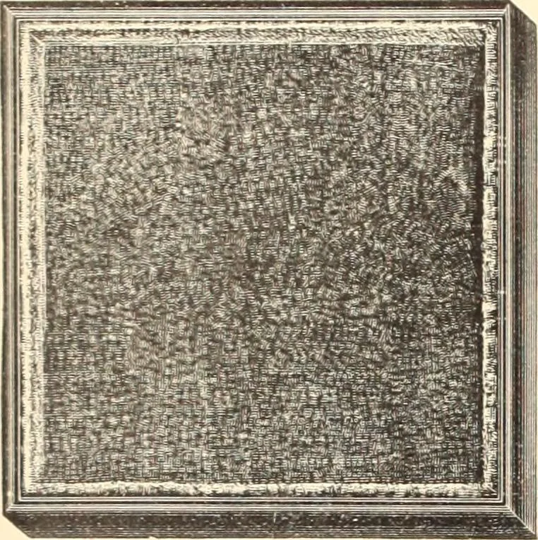An illustration from Canadian jeweller 1890, 1890, leaf 235