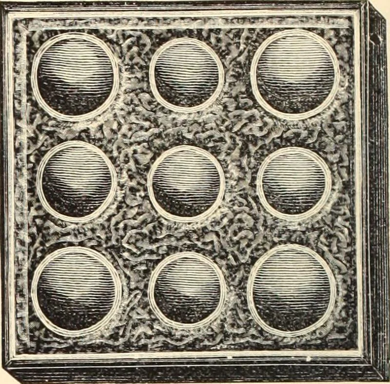 An illustration from Canadian jeweller 1890, 1890, leaf 235