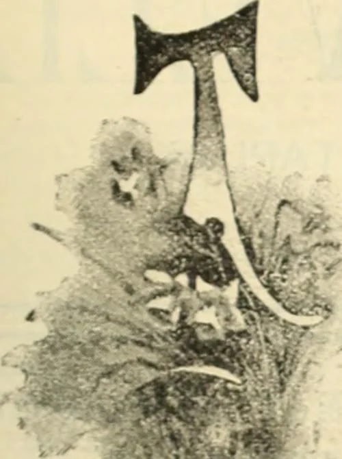 An illustration from Canadian jeweller 1890, 1890, leaf 244