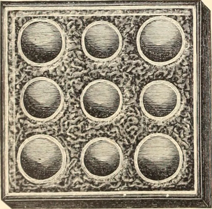 An illustration from Canadian jeweller 1890, 1890, leaf 287