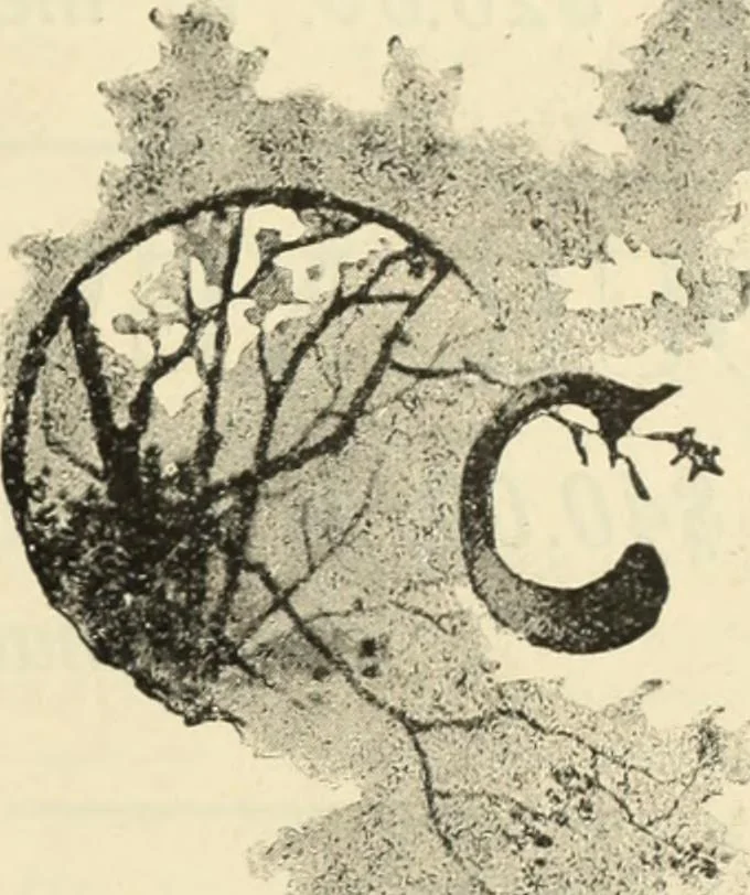 An illustration from Canadian jeweller 1890, 1890, leaf 30
