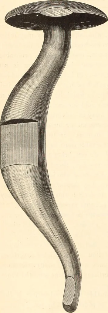 An illustration from Canadian jeweller 1890, 1890, leaf 305