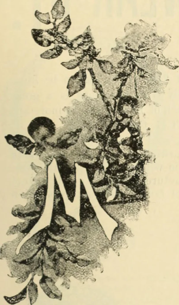 An illustration from Canadian jeweller 1890, 1890, leaf 34