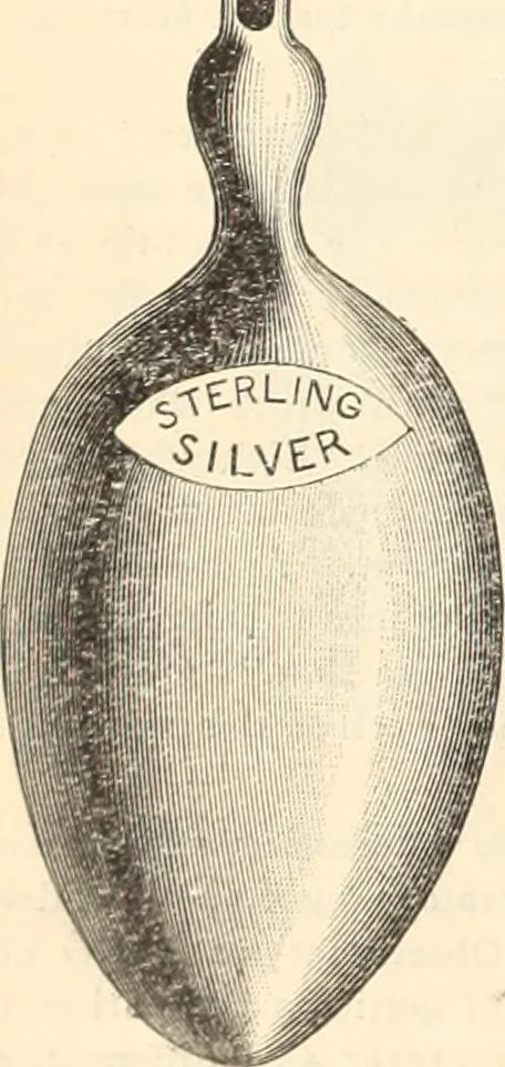 An illustration from Canadian jeweller 1890, 1890, leaf 373