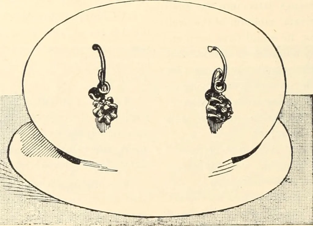 An illustration from Canadian jeweller 1890, 1890, leaf 419