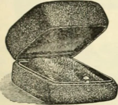 An illustration from Canadian jeweller 1890, 1890, leaf 428