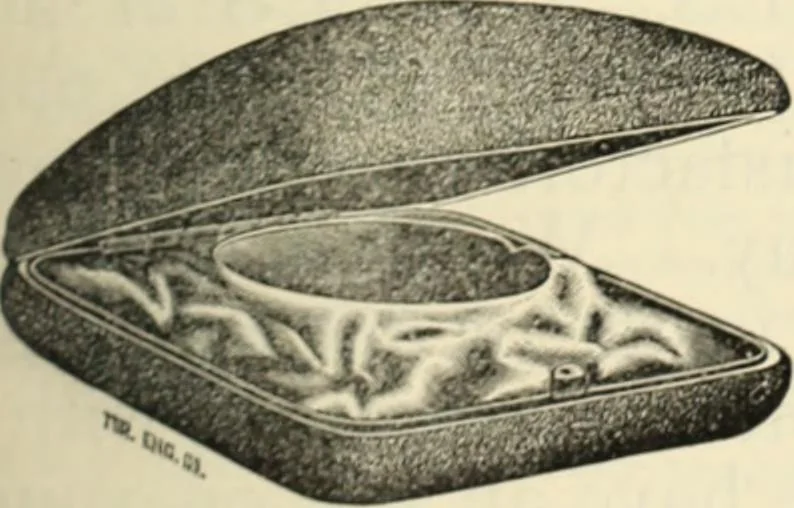 An illustration from Canadian jeweller 1890, 1890, leaf 428
