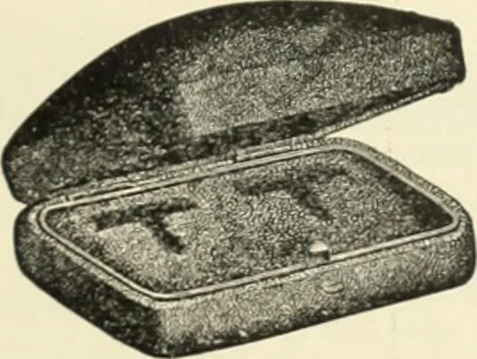 An illustration from Canadian jeweller 1890, 1890, leaf 428
