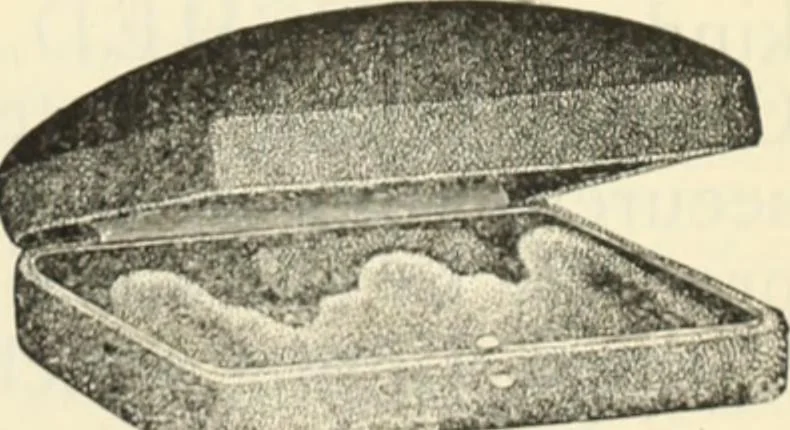 An illustration from Canadian jeweller 1890, 1890, leaf 428