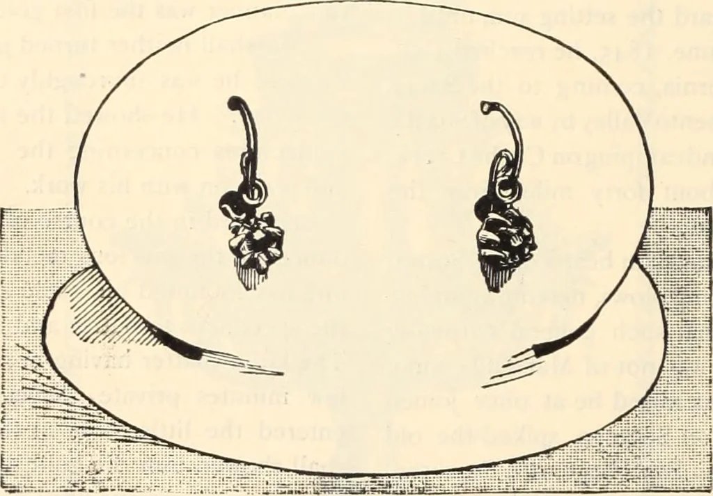 An illustration from Canadian jeweller 1890, 1890, leaf 479