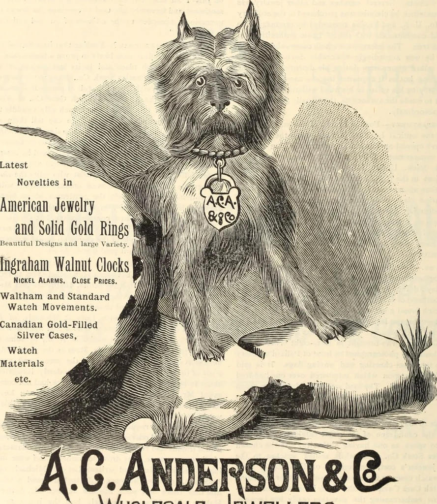 An illustration from Canadian jeweller 1890, 1890, leaf 499