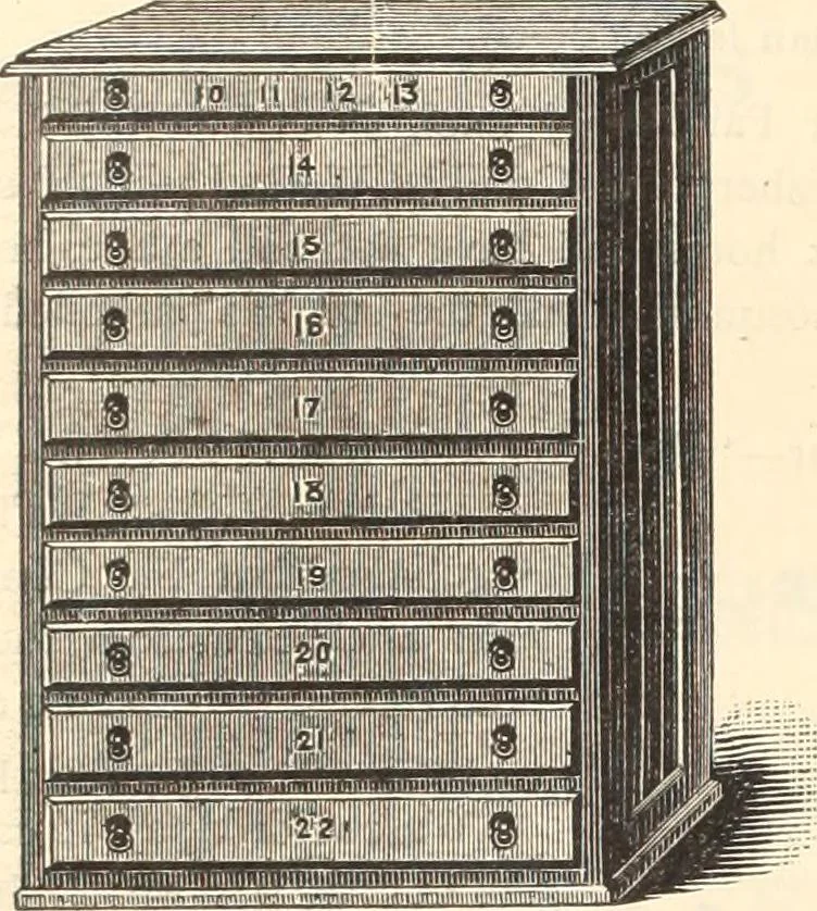 An illustration from Canadian jeweller 1890, 1890, leaf 503