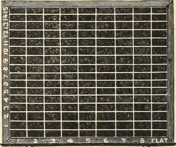 An illustration from Canadian jeweller 1890, 1890, leaf 503