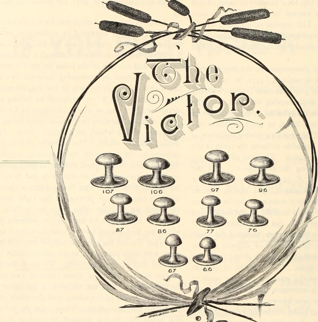 An illustration from Canadian jeweller 1890, 1890, leaf 529