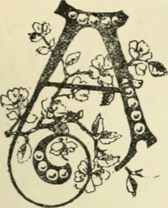 An illustration from Canadian jeweller 1890, 1890, leaf 54