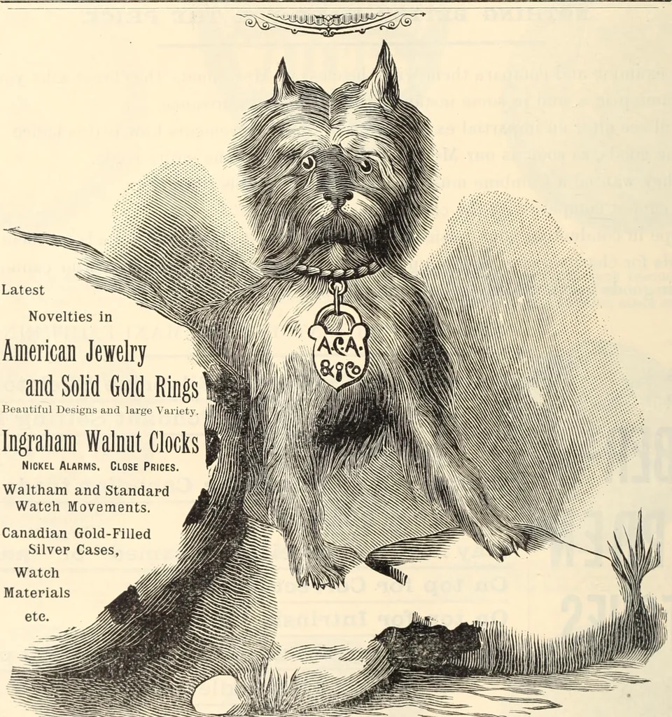 An illustration from Canadian jeweller 1890, 1890, leaf 561