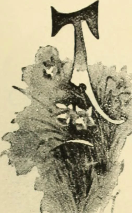 An illustration from Canadian jeweller 1890, 1890, leaf 58