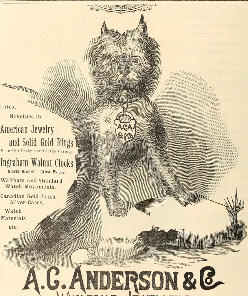 An illustration from Canadian jeweller 1890, 1890, leaf 681