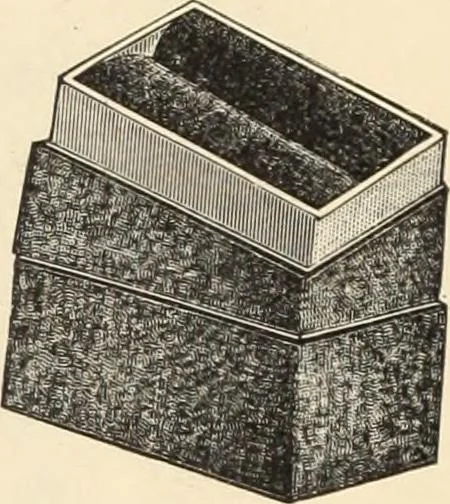 An illustration from Canadian jeweller 1890, 1890, leaf 683