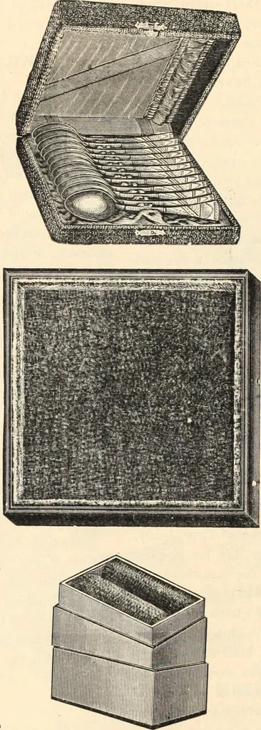 An illustration from Canadian jeweller 1890, 1890, leaf 739