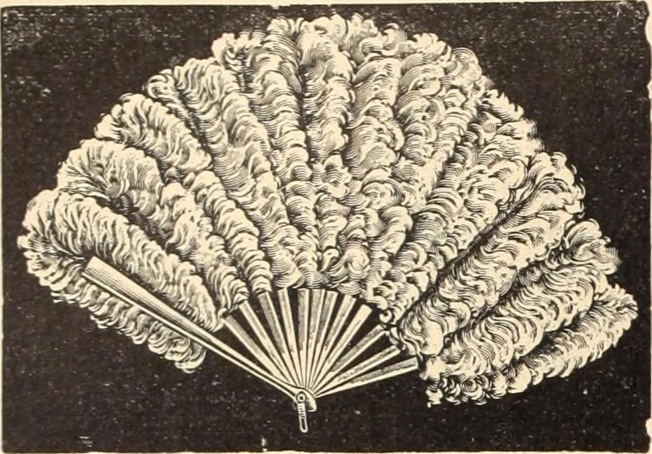 An illustration from Canadian jeweller 1890, 1890, leaf 753