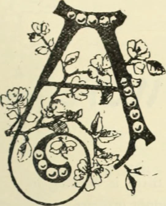 An illustration from Canadian jeweller 1890, 1890, leaf 88