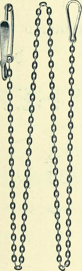An illustration from Canadian jeweller 1900, 1900, leaf 118