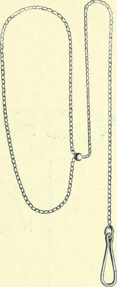 An illustration from Canadian jeweller 1900, 1900, leaf 118
