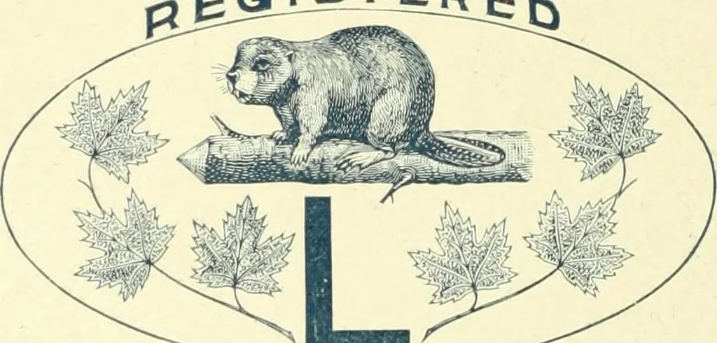 An illustration from Canadian jeweller 1900, 1900, leaf 15