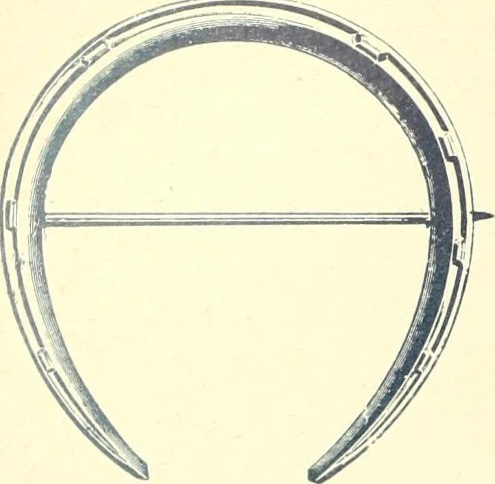 An illustration from Canadian jeweller 1900, 1900, leaf 253