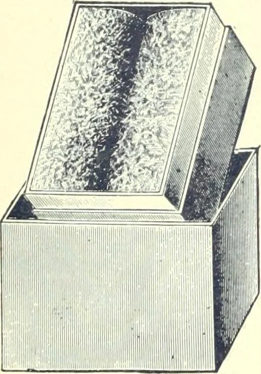 An illustration from Canadian jeweller 1900, 1900, leaf 269