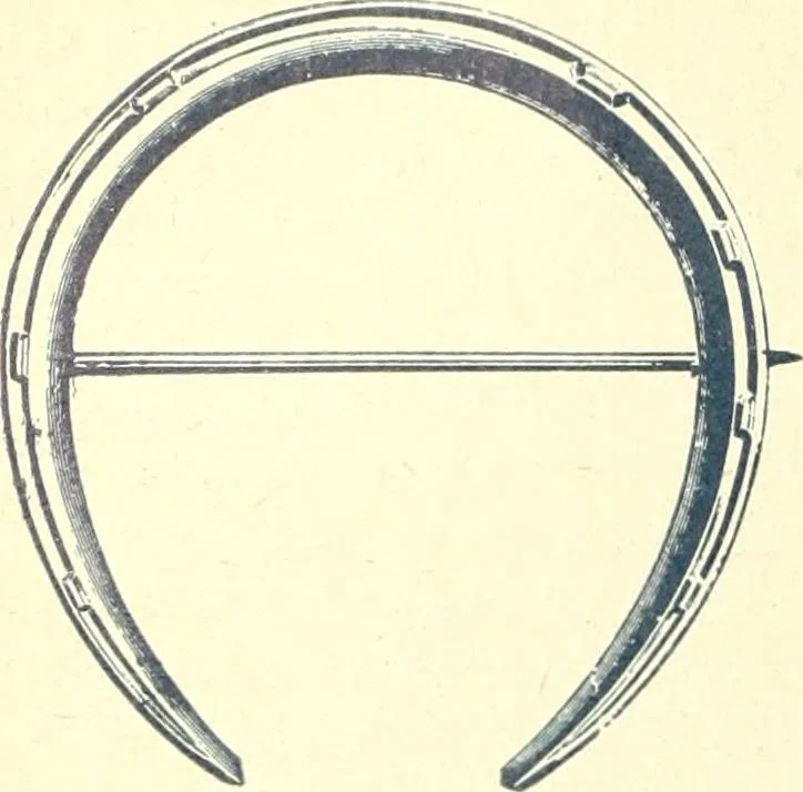An illustration from Canadian jeweller 1900, 1900, leaf 301