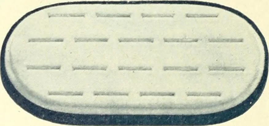 An illustration from Canadian jeweller 1900, 1900, leaf 317