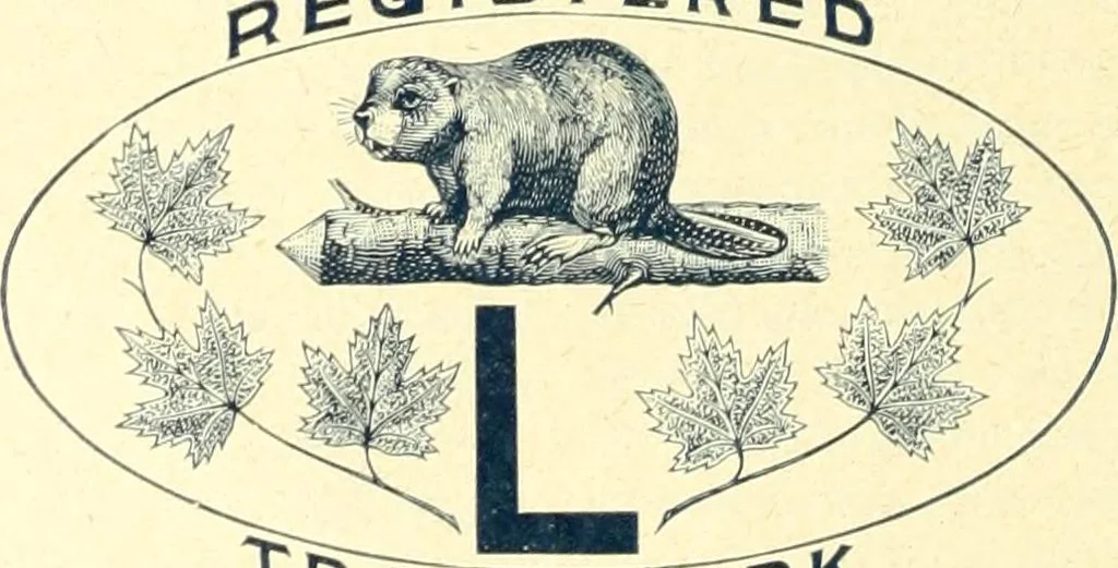 An illustration from Canadian jeweller 1900, 1900, leaf 349