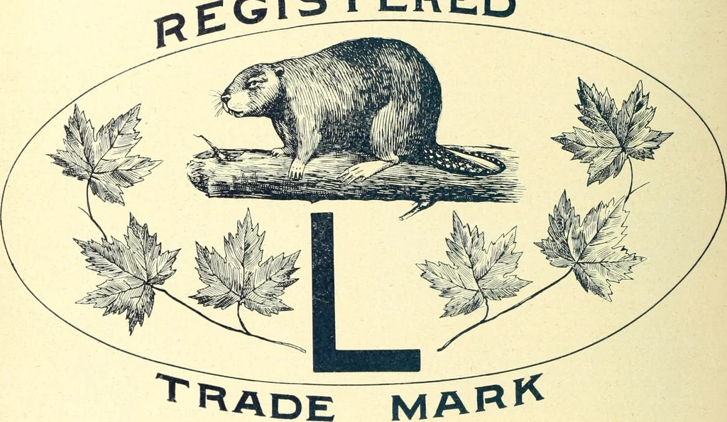 An illustration from Canadian jeweller 1900, 1900, leaf 397