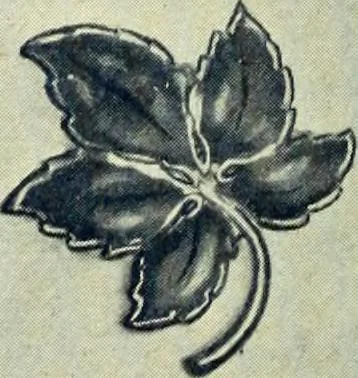 An illustration from Canadian jeweller 1900, 1900, leaf 567