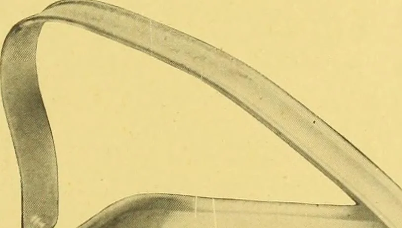 An illustration from Canadian jeweller 1920, 1920, leaf 1086