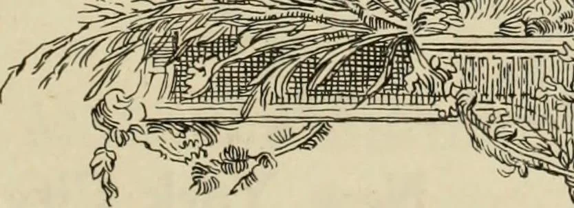 An illustration from Canadian jeweller 1920, 1920, leaf 256