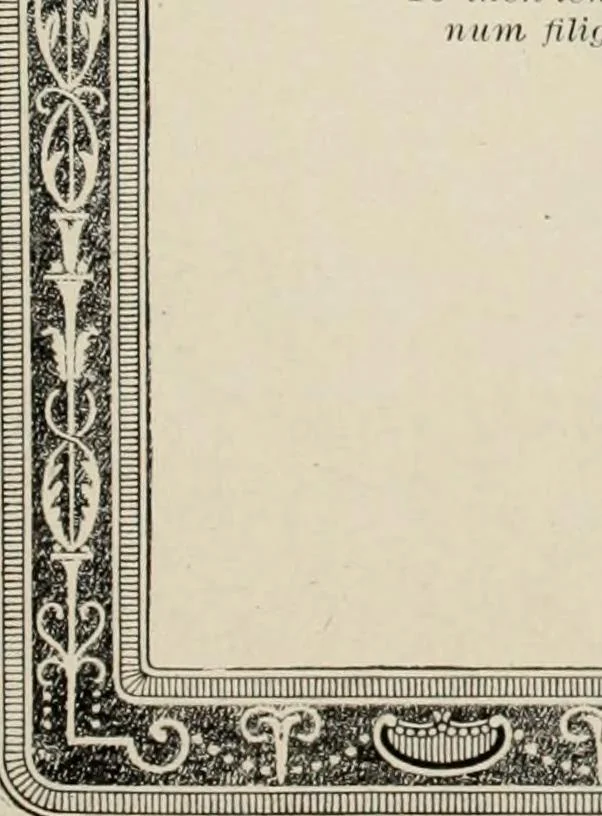 An illustration from Canadian jeweller 1920, 1920, leaf 876